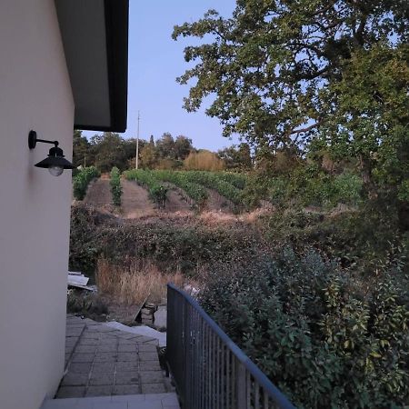La Residenza Di Campagna ξενώνας Manciano Εξωτερικό φωτογραφία