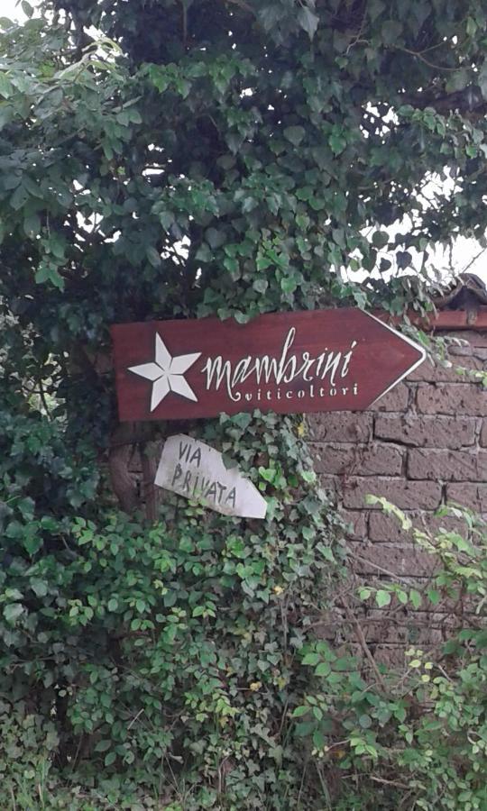 La Residenza Di Campagna ξενώνας Manciano Εξωτερικό φωτογραφία